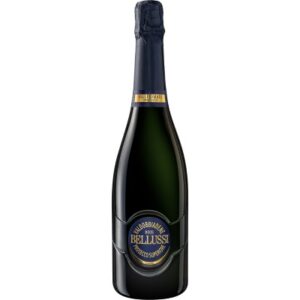 Valdobbiadene DOCG Prosecco superiore millesimato brut Bellussi